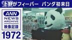 きょうはなんのひ１９７２年（昭和４７年） カンカン・ランラン日本初上陸パンダ １９９１（平成３年） １９９３年（平成５年） ドーハの悲劇の画像